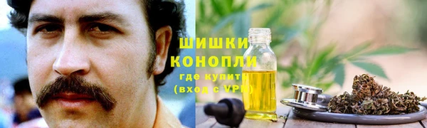 молекула духа Алзамай