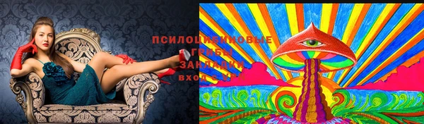 таблы Алексеевка