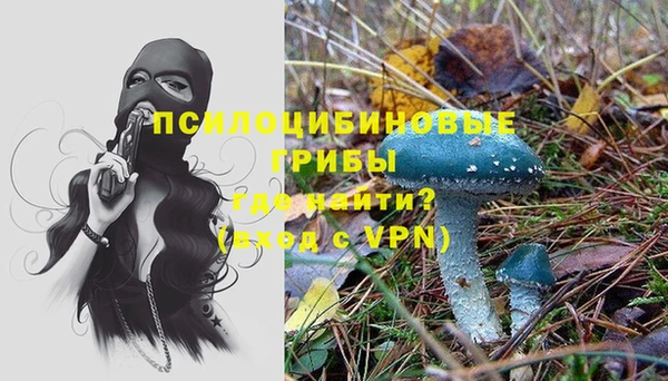мяу мяу мука Армянск