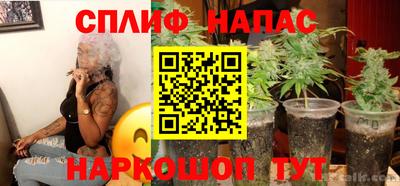 гидра Изобильный