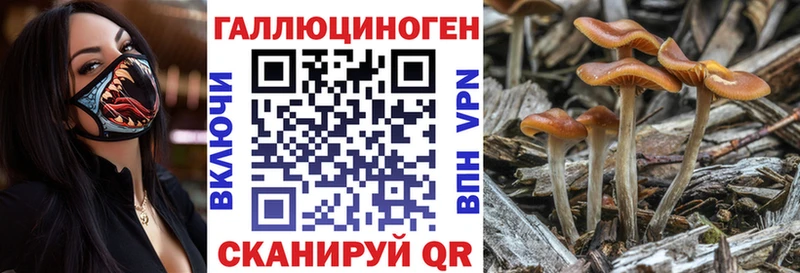 Галлюциногенные грибы мухоморы  площадка официальный сайт  Магнитогорск  цены наркотик 
